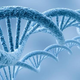 Illustration for article titled Judge To Big Pharma: You Cant Patent Genes